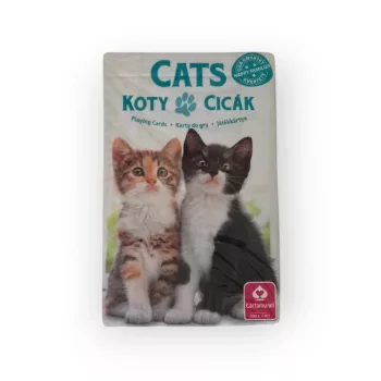 Kedvenceink a cicák kártya