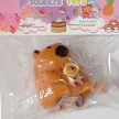 Capybara nyomi