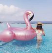 Flamingó Matrac 