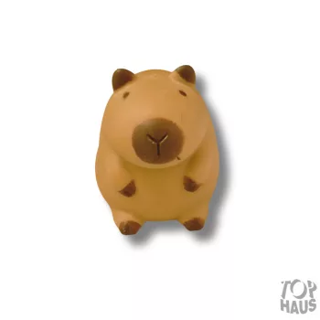 Capybara squishy