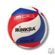 Minksa labda cikkelyes