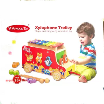 Forma Felismerő Fajáték-Xilofonnal